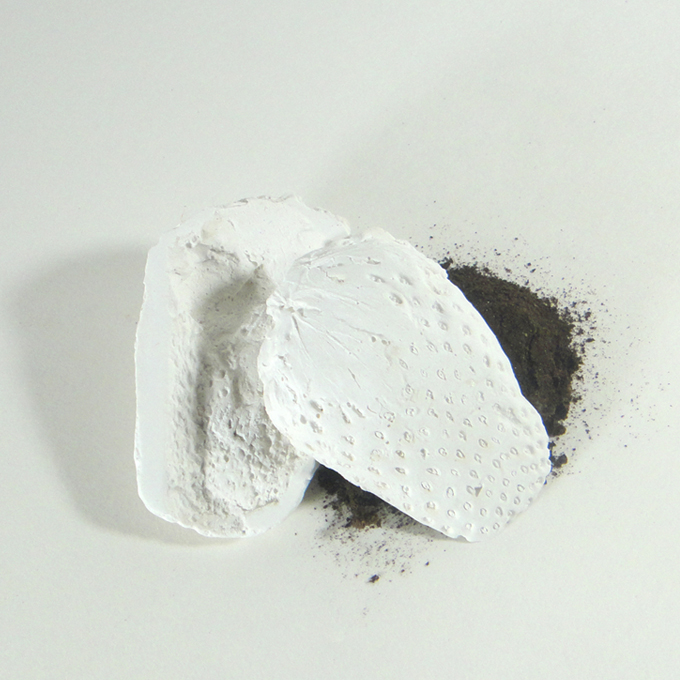 <b>Coquille IV</b><br>
Fraise fraîche moulée en plâtre et son empreinte, une fois pourrie et sèche, à l'intérieur. La fraise fut ensuite réduite en poudre.<br> 
3 x 6 x 7 cm<br>
2013