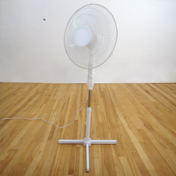 <b>Buzzkill</b><br> 
Dead fly suspended from the ceiling with nylon thread and fan.<br> 
Dimensions variable<br>
2014