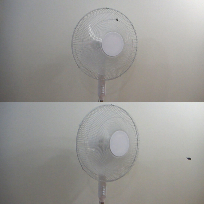 <b>Buzzkill</b> (detail)<br> 
Dead fly suspended from the ceiling with nylon thread and fan.<br> 
Dimensions variable<br>
2014