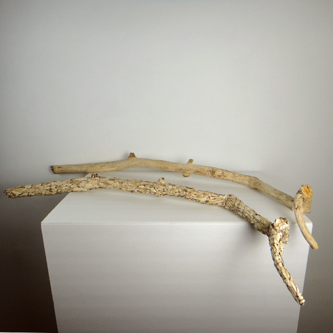 <b>Matric(id)e</b><br>
Branch from which the outer layer was carved off and the left-over pieces assembled to form a second branch in its image<br>
Dimensions variable<br>
2012